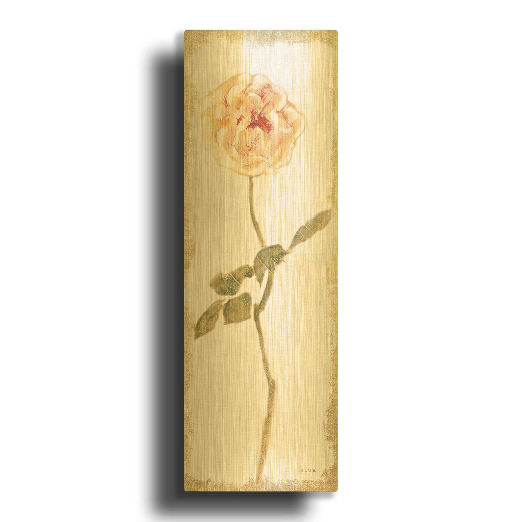 'Pale Rose Panel Light' By Cheri Blum Gold Metal Wall Art