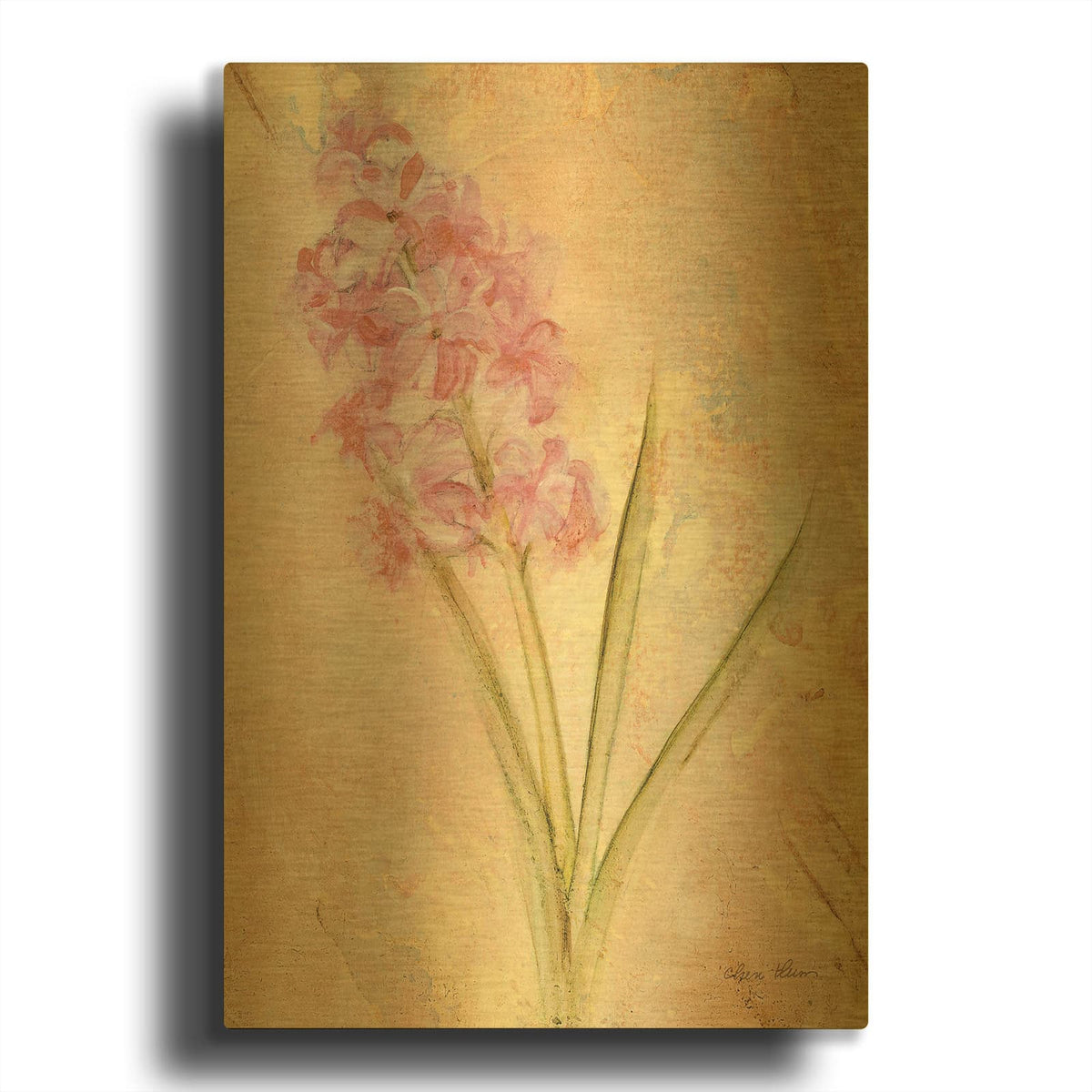 'Pink Hyacinth' By Cheri Blum Gold Metal Wall Art