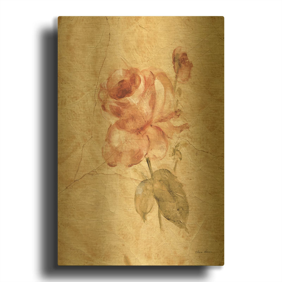 'Rose On Cracked Linen' By Cheri Blum Gold Metal Wall Art