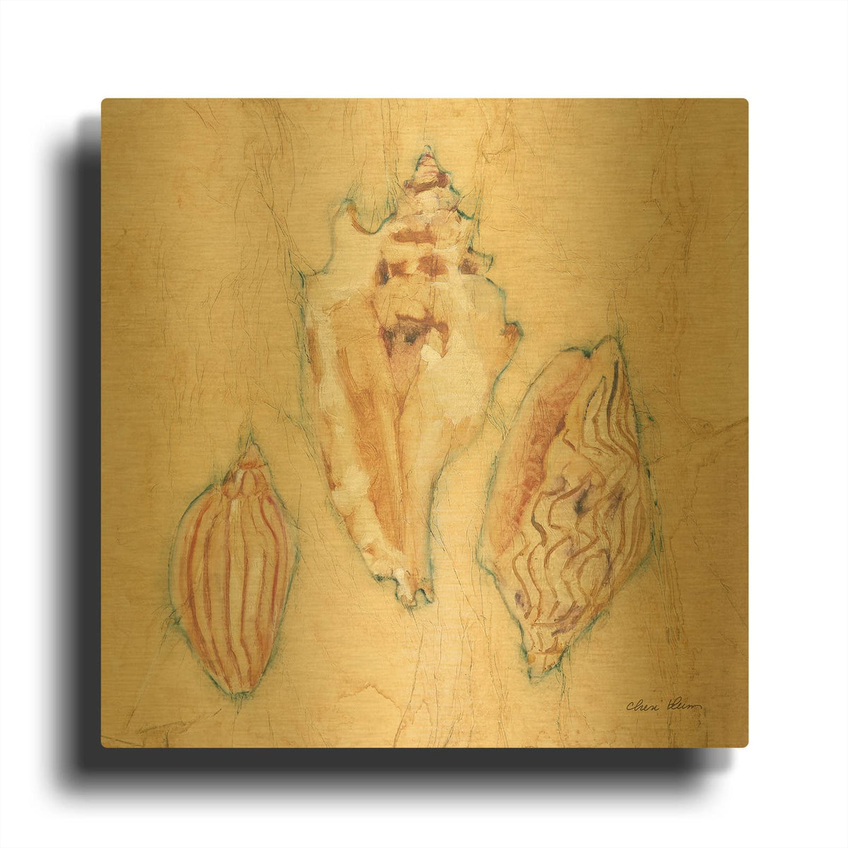 'Shells 1' By Cheri Blum Gold Metal Wall Art