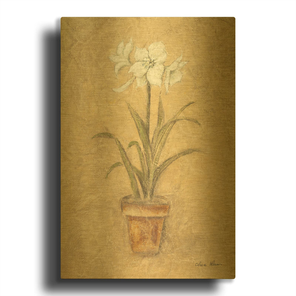 'White Amaryllis 1' By Cheri Blum Gold Metal Wall Art
