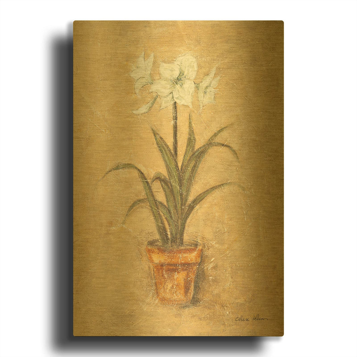 'White Amaryllis 2' By Cheri Blum Gold Metal Wall Art