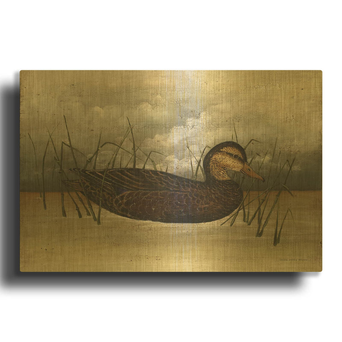 'Black Duck' By David Carter Brown Gold Metal Wall Art