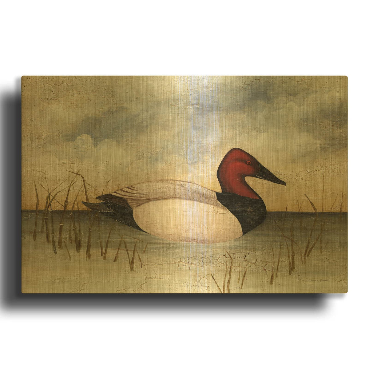 'Canvas Back' By David Carter Brown Gold Metal Wall Art