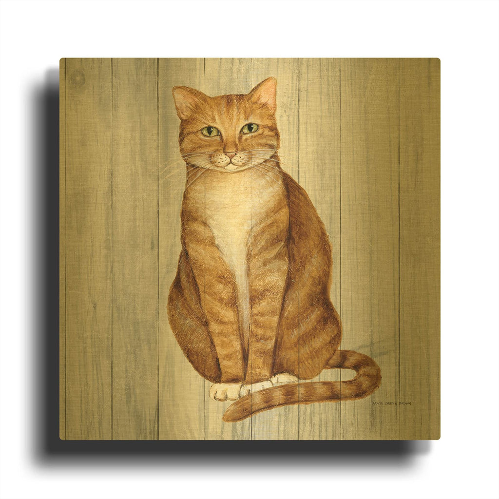 'Country Kitty 2 On Wood' By David Carter Brown Gold Metal Wall Art
