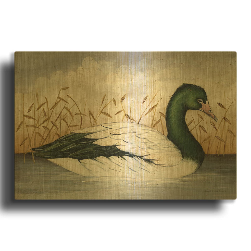 'Magpie Goose' By David Carter Brown Gold Metal Wall Art