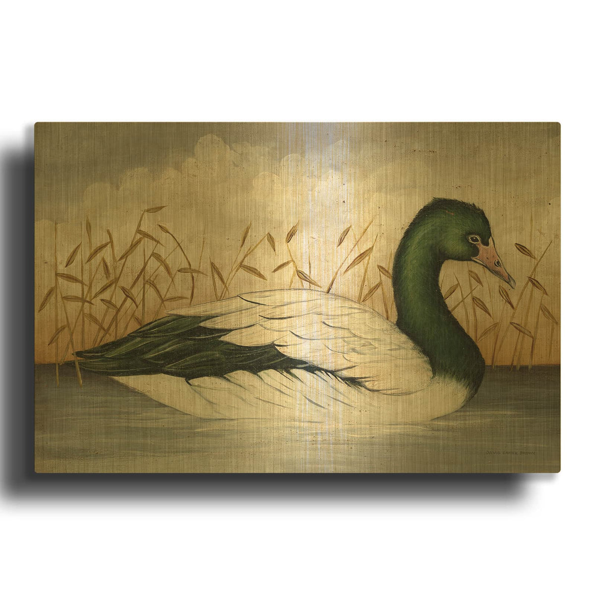 'Magpie Goose' By David Carter Brown Gold Metal Wall Art
