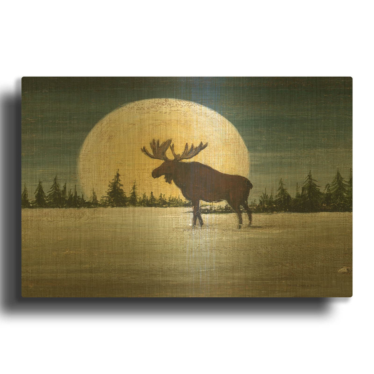 'North Woods Moose Crop' By David Carter Brown Gold Metal Wall Art