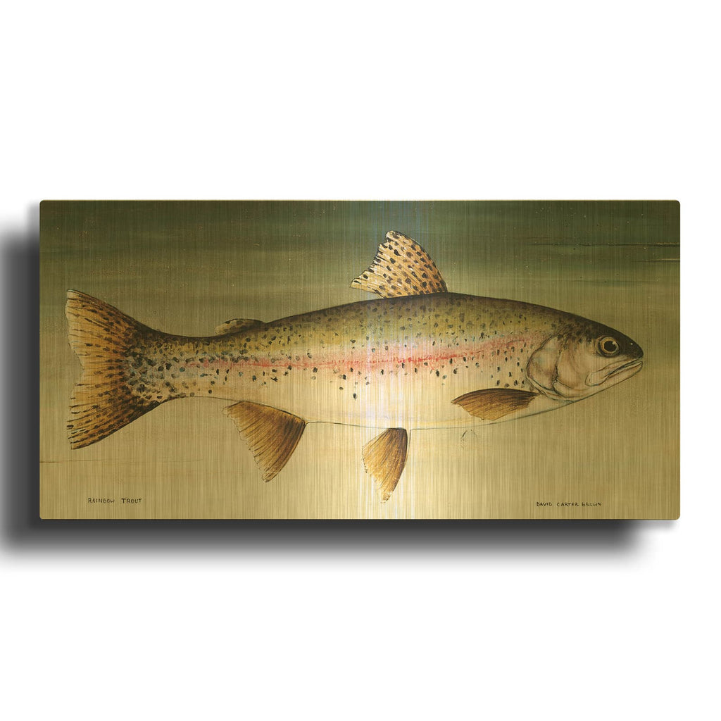 'Rainbow Trout No Border' By David Carter Brown Gold Metal Wall Art