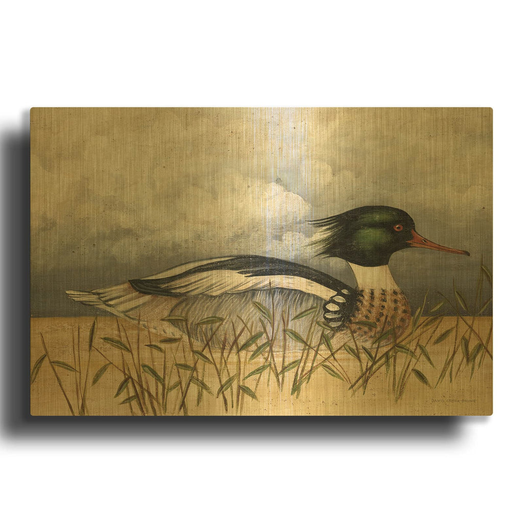 'Red Breasted Merganser' By David Carter Brown Gold Metal Wall Art