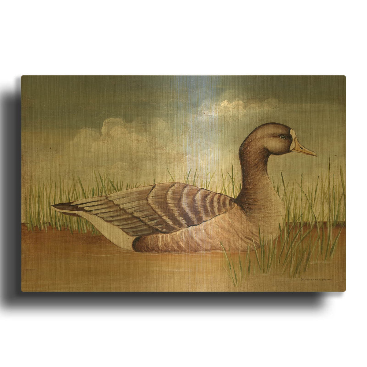 'White Fronted Goose' By David Carter Brown Gold Metal Wall Art