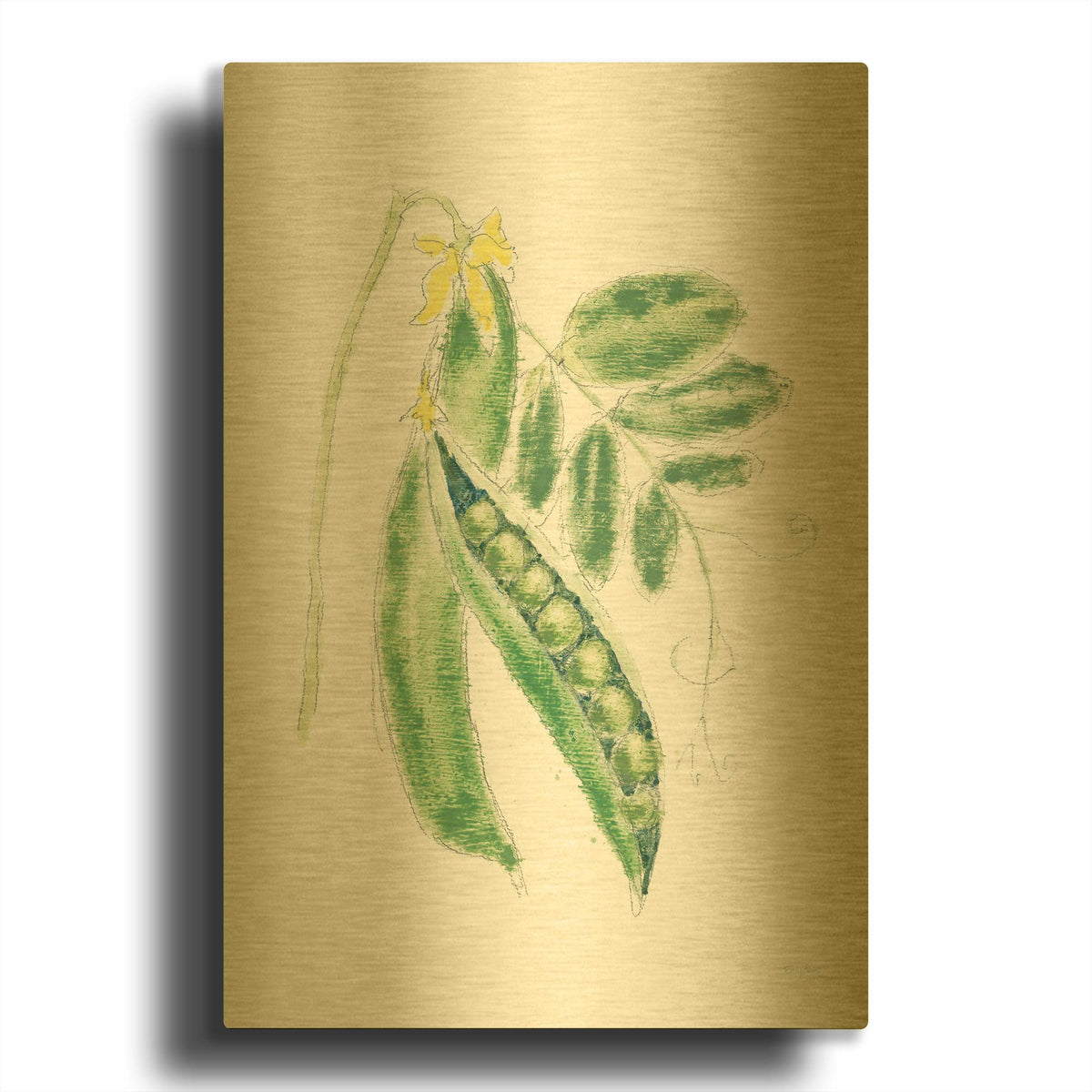 'Garden Delight 6' By Emily Adams Gold Metal Wall Art