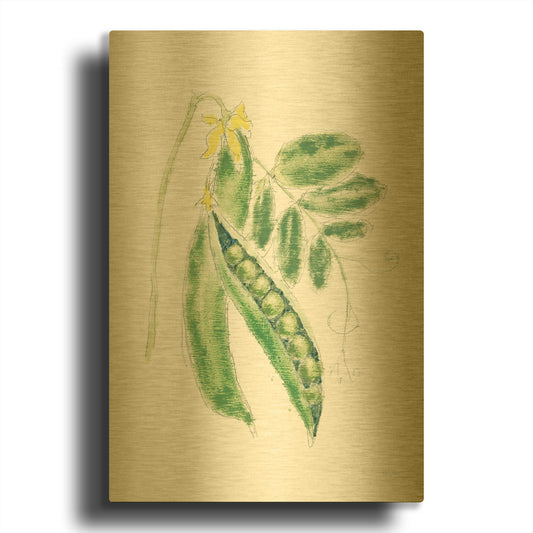 'Garden Delight 6' By Emily Adams Gold Metal Wall Art