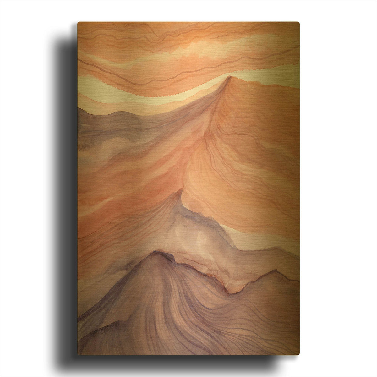 'Canyon Dreams 1' By Brett Blumenthal Gold Metal Wall Art