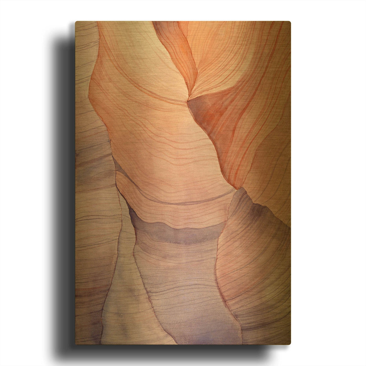 'Canyon Dreams 2' By Brett Blumenthal Gold Metal Wall Art