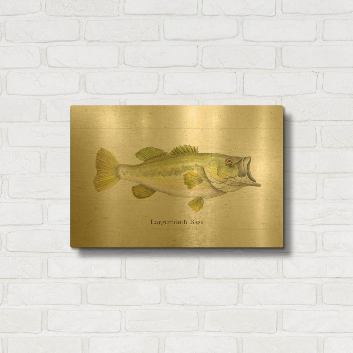 'Fishful Thinking 1' By Brett Blumenthal Gold Metal Wall Art
