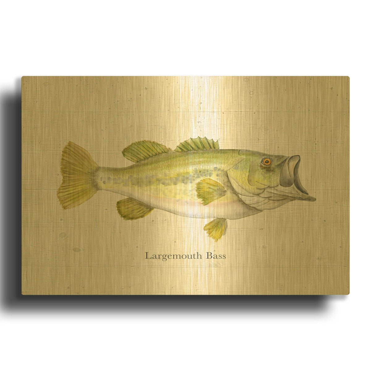 'Fishful Thinking 1' By Brett Blumenthal Gold Metal Wall Art