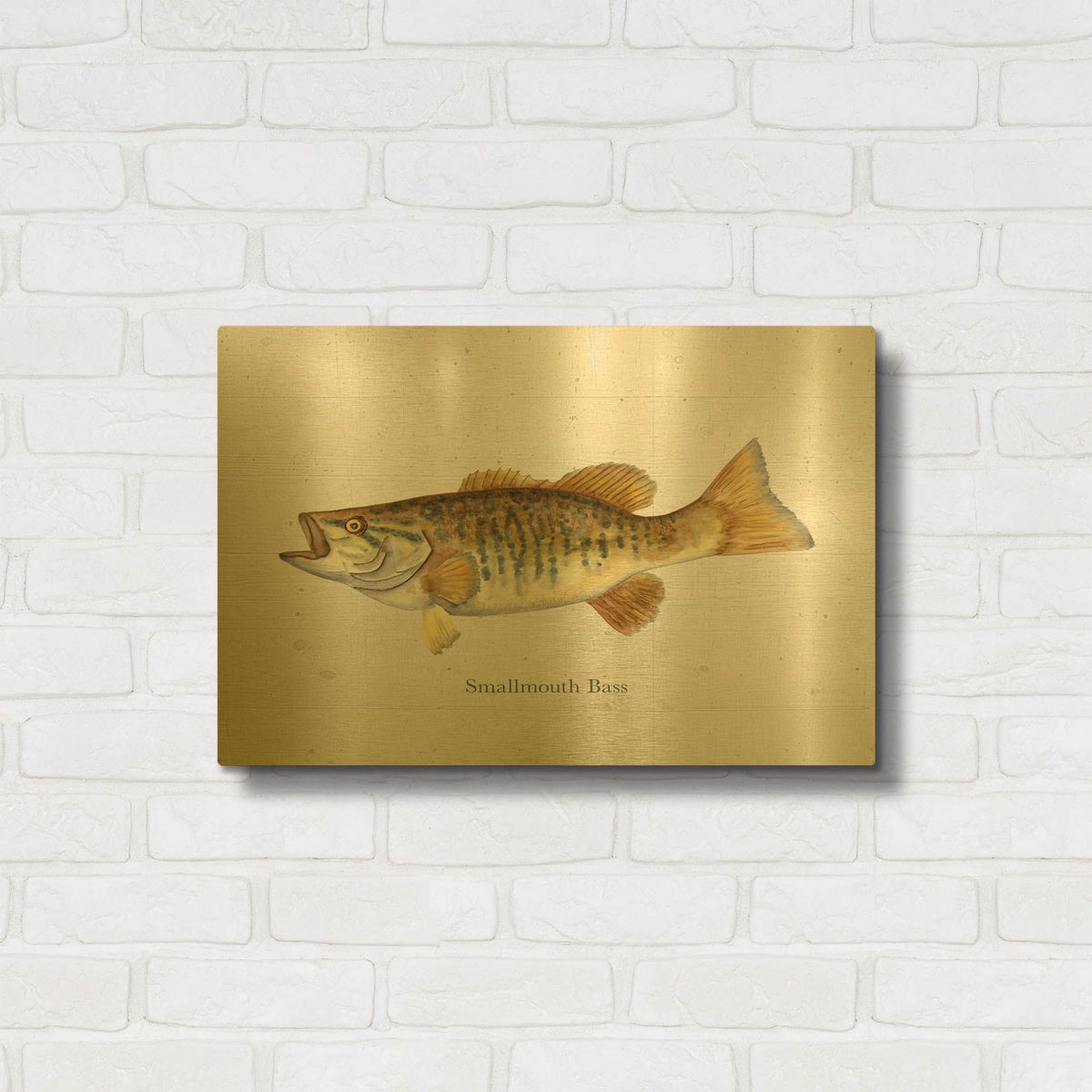 'Fishful Thinking 2' By Brett Blumenthal Gold Metal Wall Art