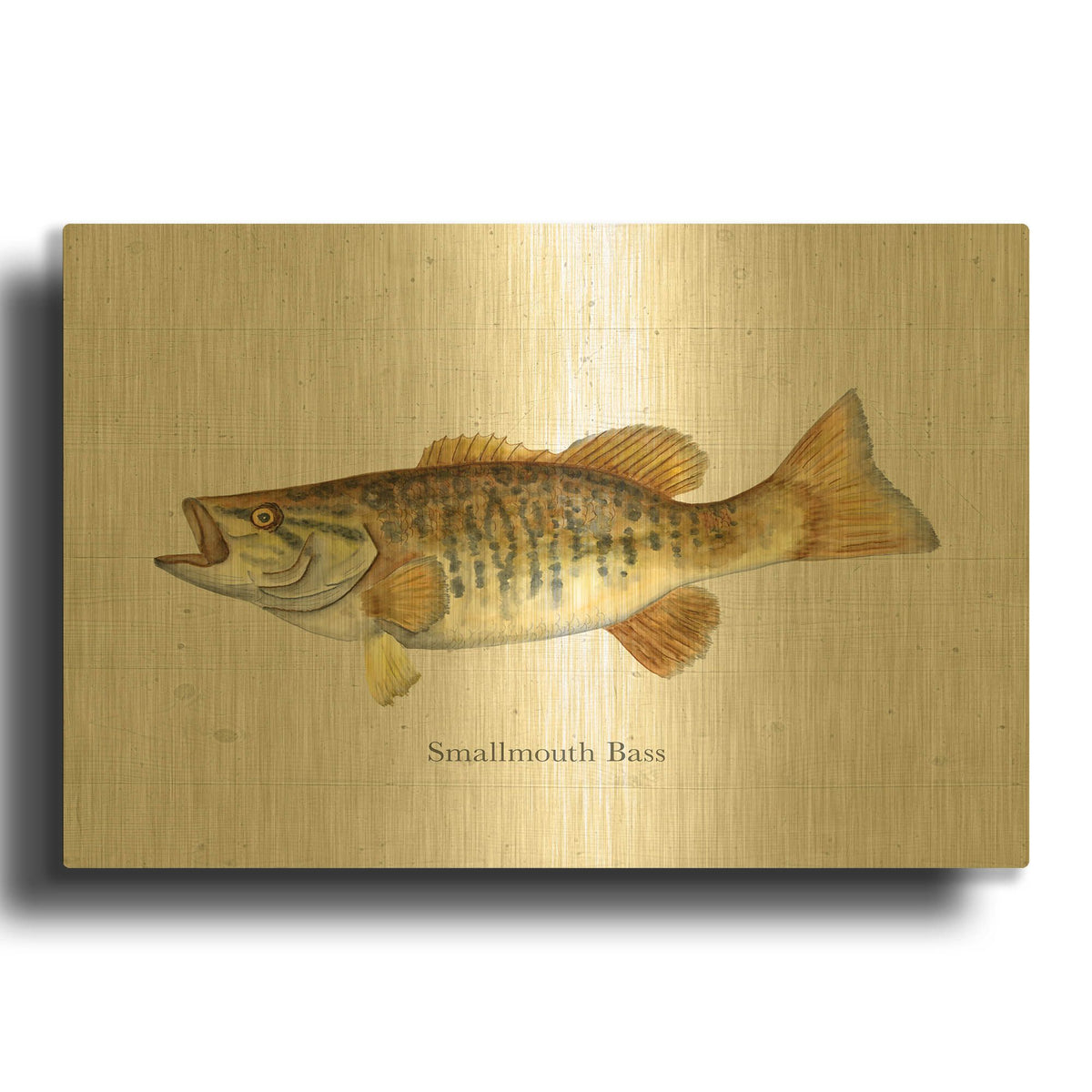 'Fishful Thinking 2' By Brett Blumenthal Gold Metal Wall Art