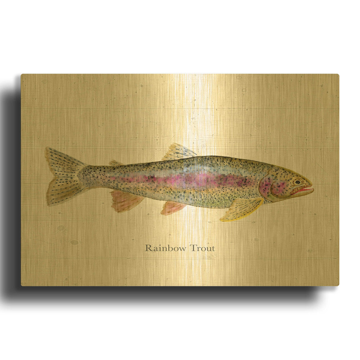 'Fishful Thinking 3' By Brett Blumenthal Gold Metal Wall Art