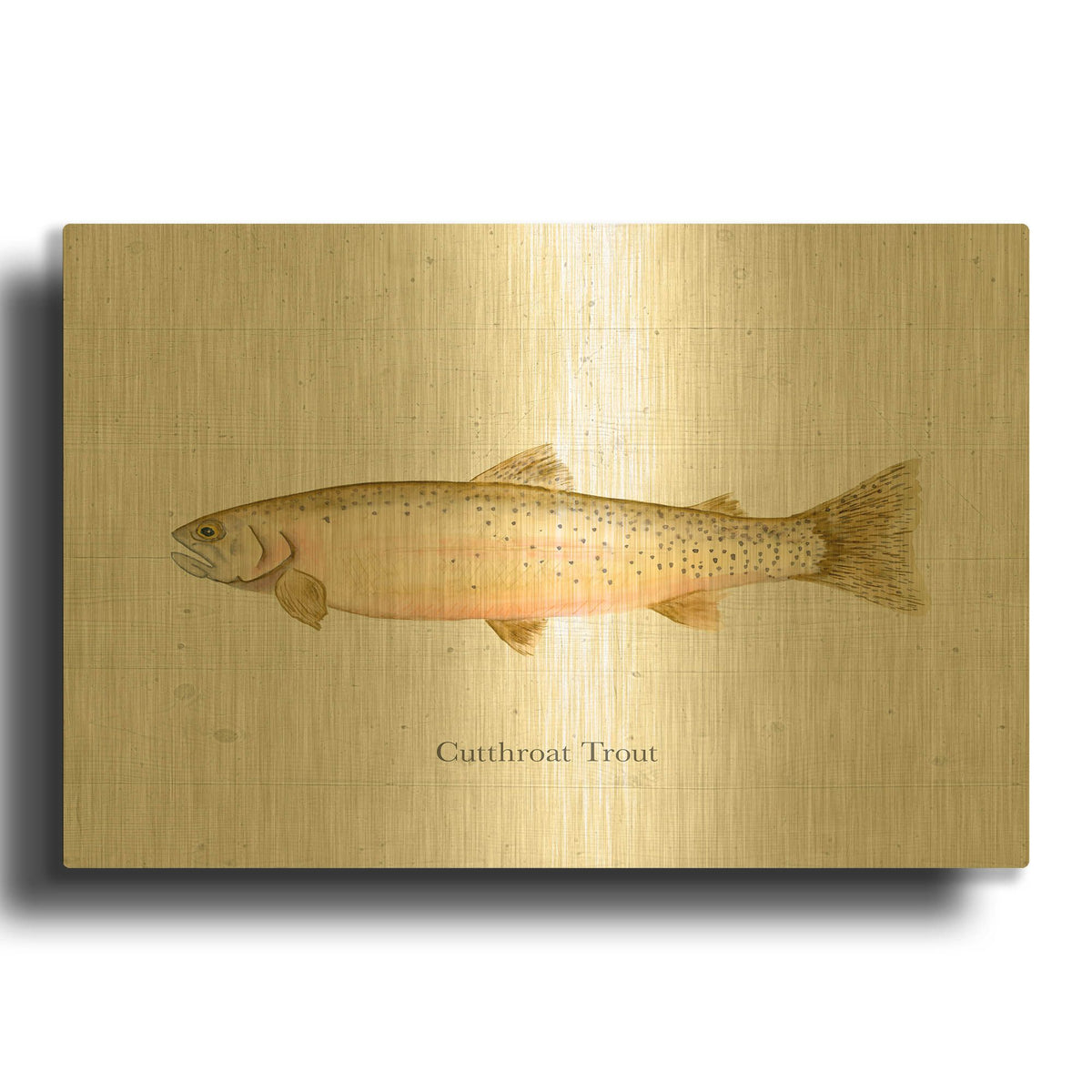 'Fishful Thinking 4' By Brett Blumenthal Gold Metal Wall Art