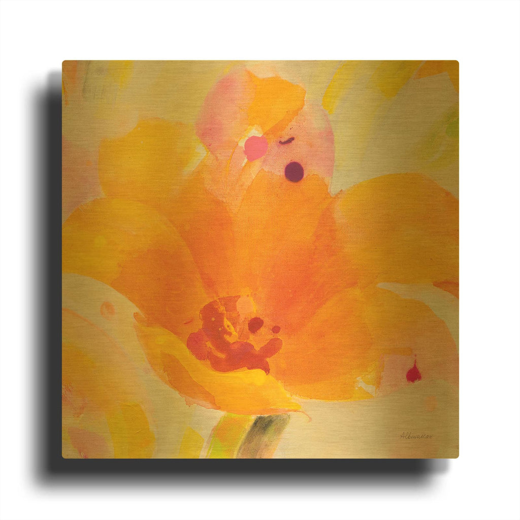 'Bright Tulips 1' By Albena Hristova Gold Metal Wall Art