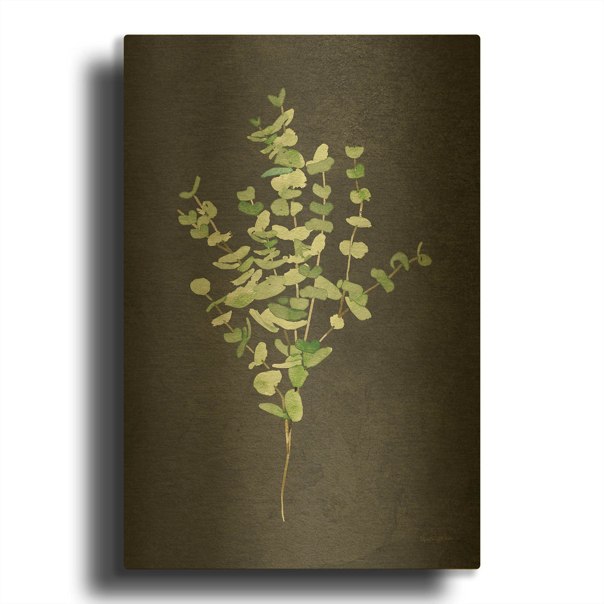 'Gentle Eucalyptus on Black' By Mercedes Lopez Charro Gold Metal Wall Art