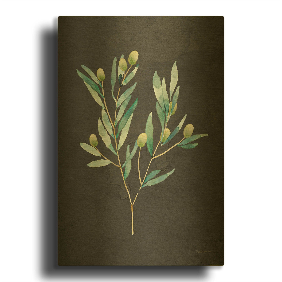'Gentle Olive Branch on Black' By Mercedes Lopez Charro Gold Metal Wall Art