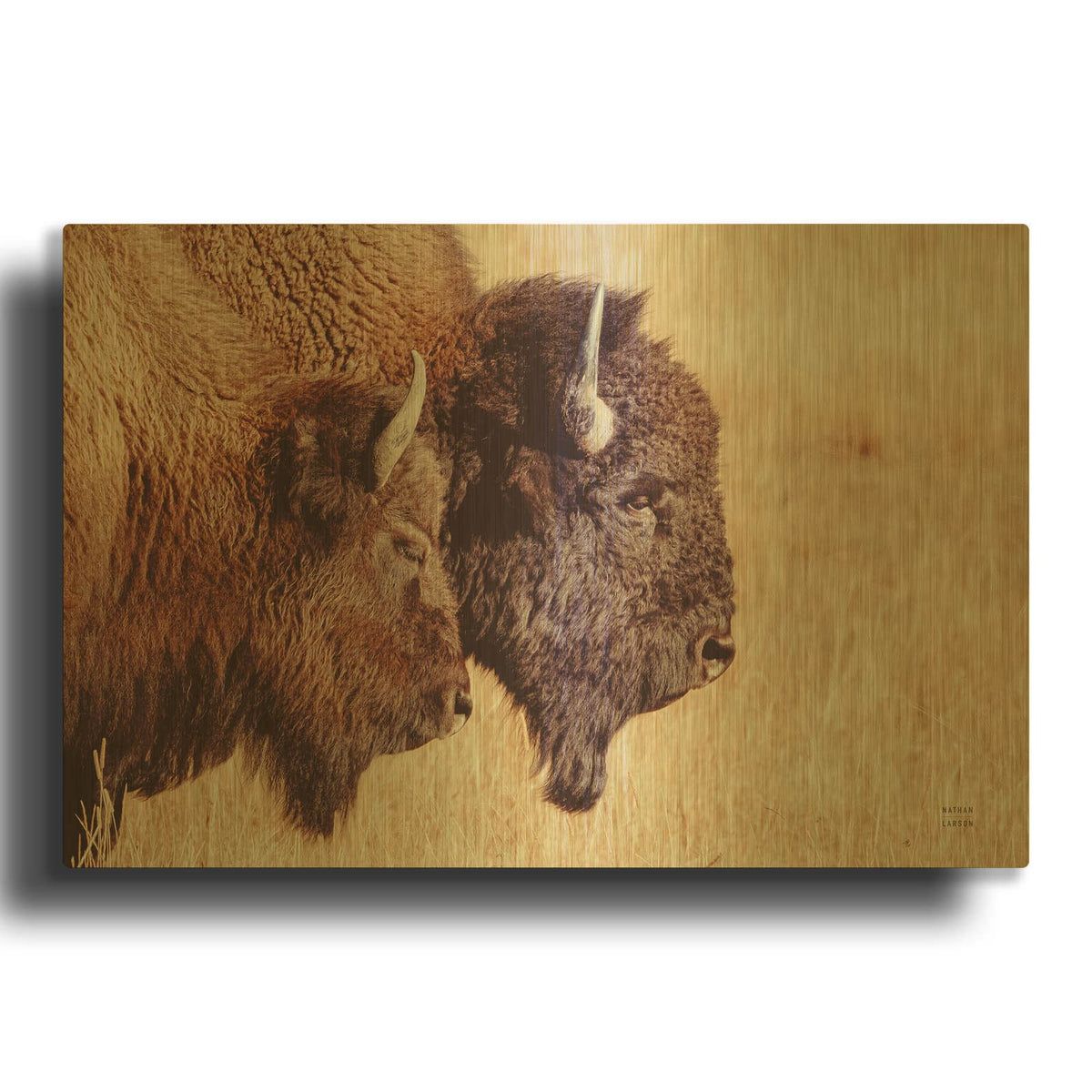 'Bison Pair' By Nathan Larson Gold Metal Wall Art