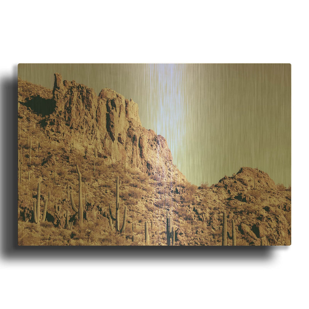 'Arizona Dreams' By Nathan Larson Gold Metal Wall Art