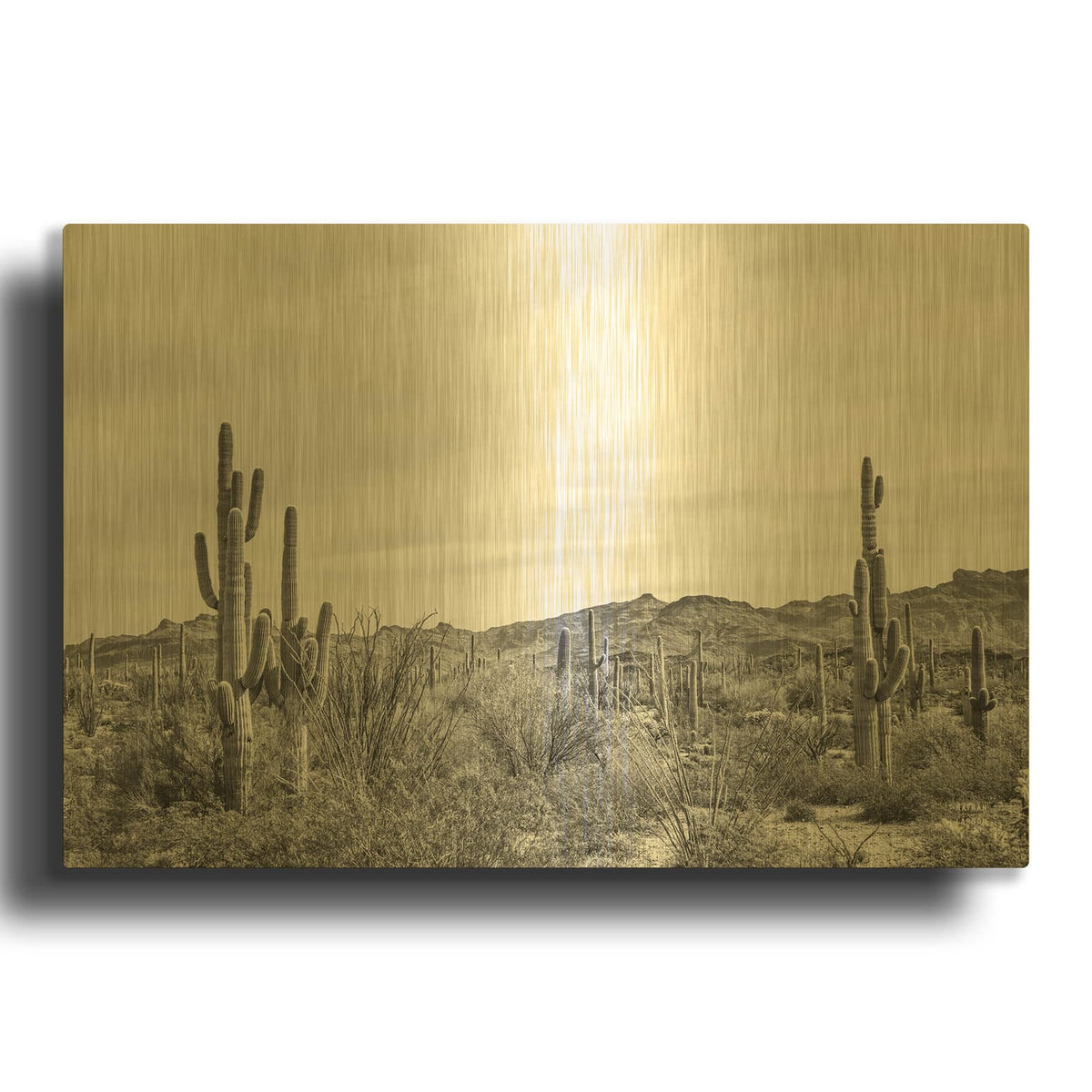 'Sonoran Wonderland Bw' By Nathan Larson Gold Metal Wall Art