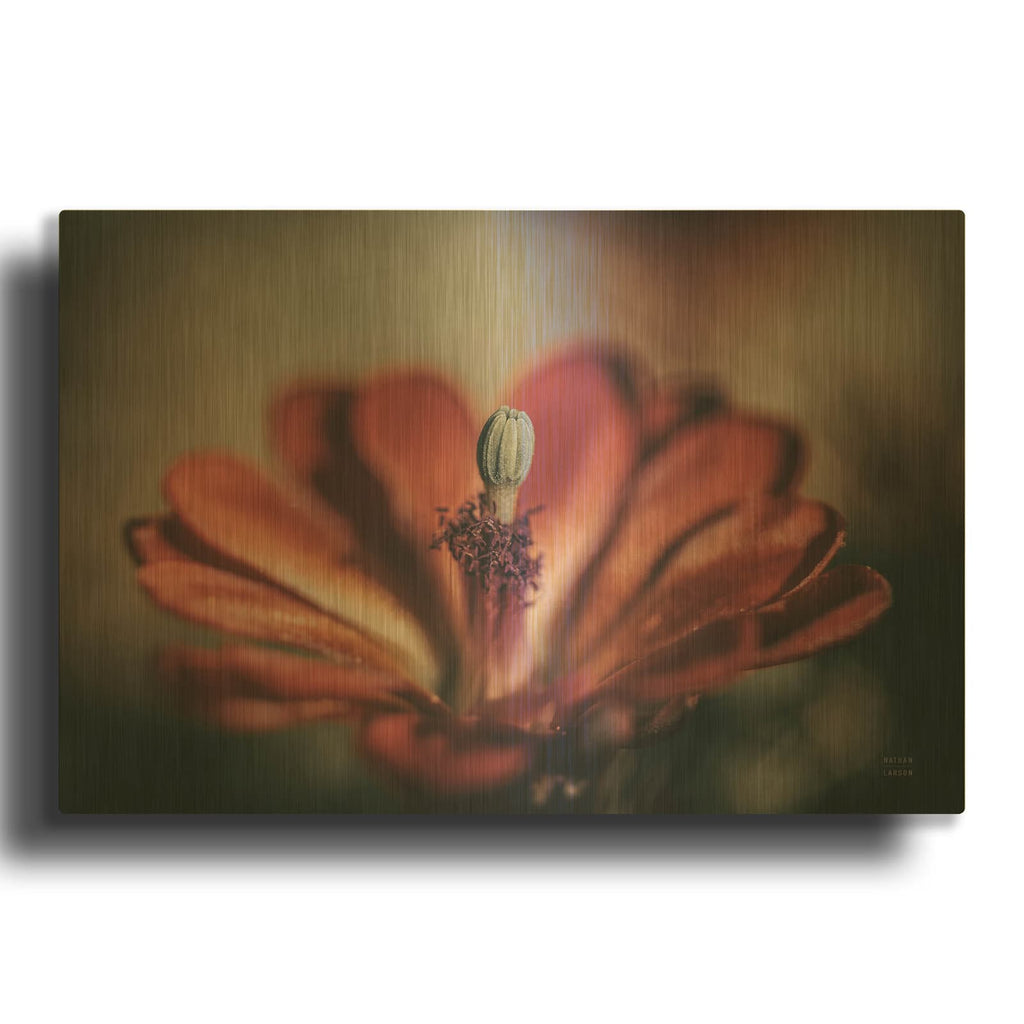 'Elevation Bloom' By Nathan Larson Gold Metal Wall Art