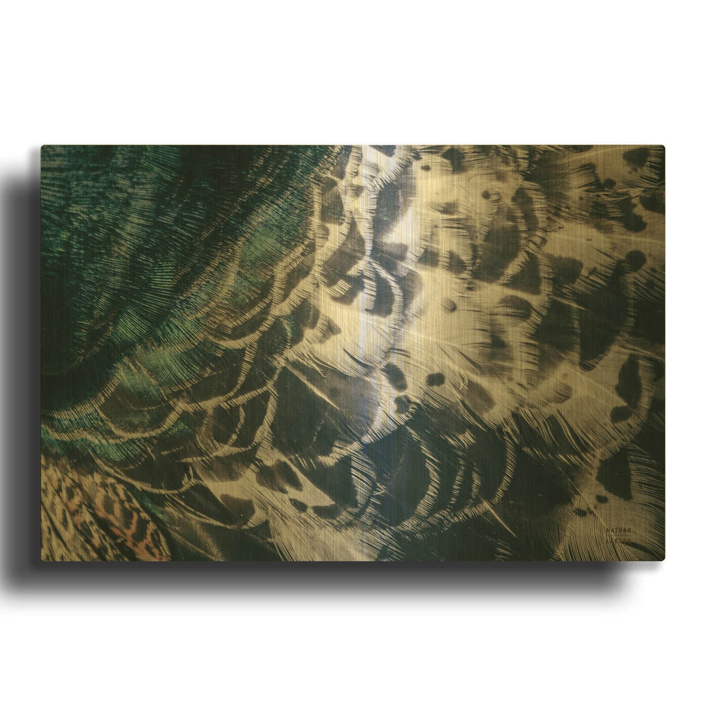 'Peacock Study 1 Horizontal' By Nathan Larson Gold Metal Wall Art
