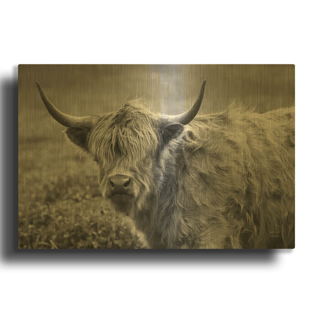 'Highland Cow Spring' By Nathan Larson Gold Metal Wall Art