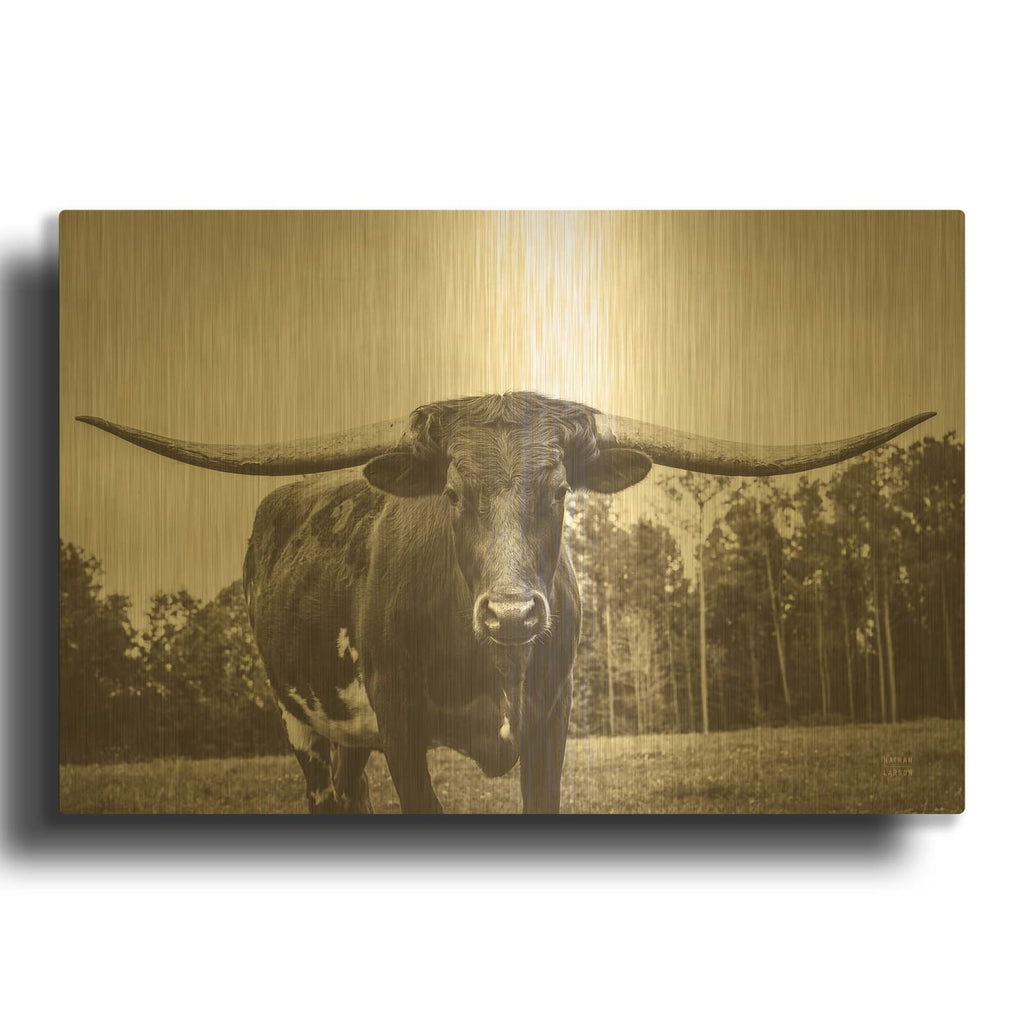 'Longhorn Pastures Sepia' By Nathan Larson Gold Metal Wall Art