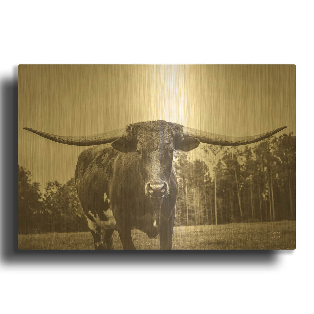 'Longhorn Pastures Sepia' By Nathan Larson Gold Metal Wall Art