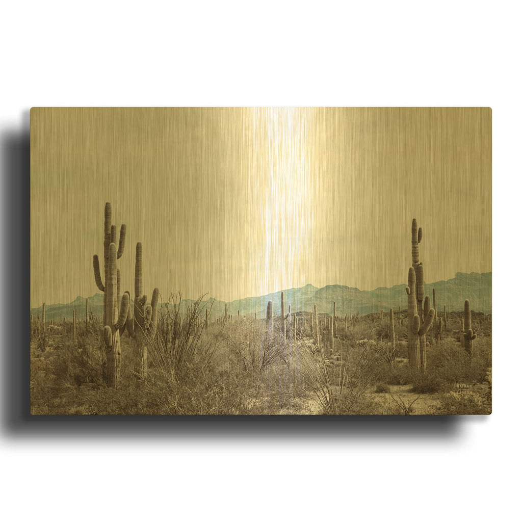 'Sonoran Wonderland' By Nathan Larson Gold Metal Wall Art