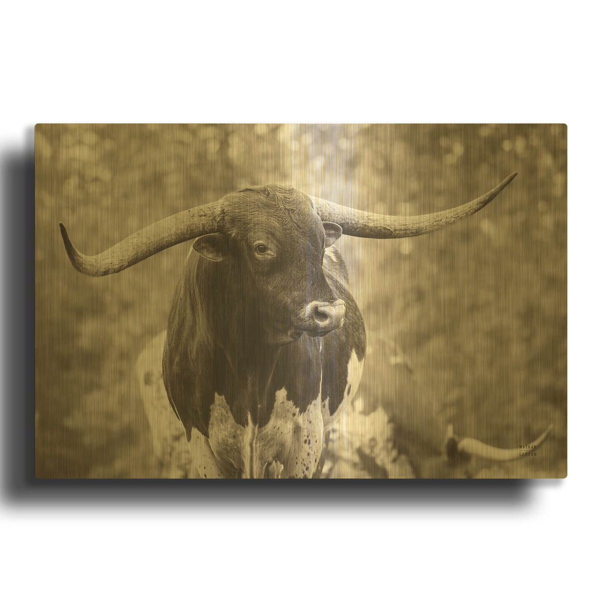 'Longhorn Gaze I Sepia' By Nathan Larson Gold Metal Wall Art