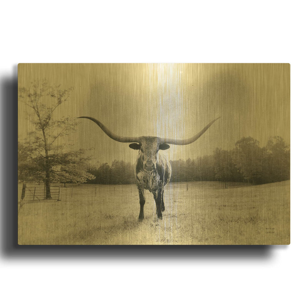 'Longhorn Backlit Aged' By Nathan Larson Gold Metal Wall Art