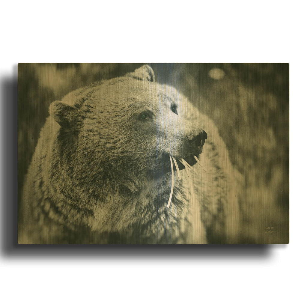 'Grizzly Snack' By Nathan Larson Gold Metal Wall Art