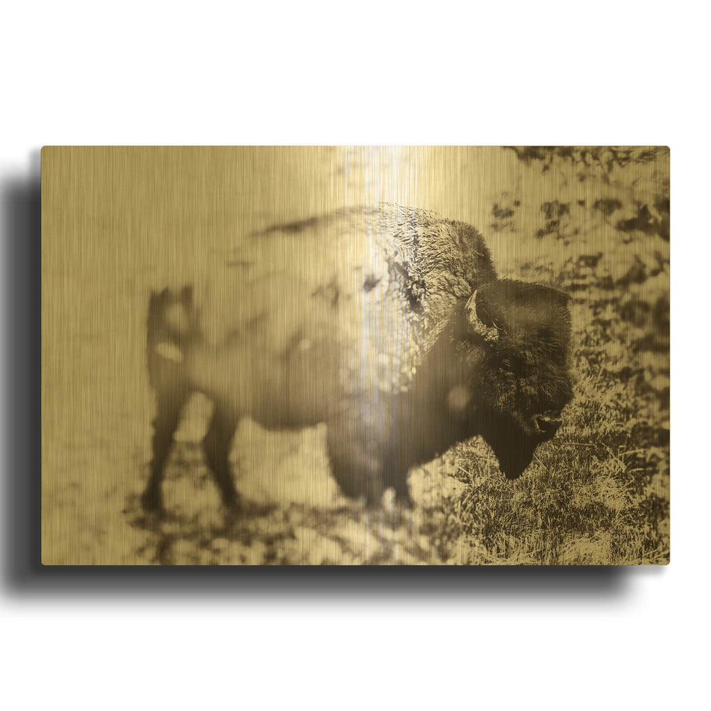 'Bison Dream' By Nathan Larson Gold Metal Wall Art
