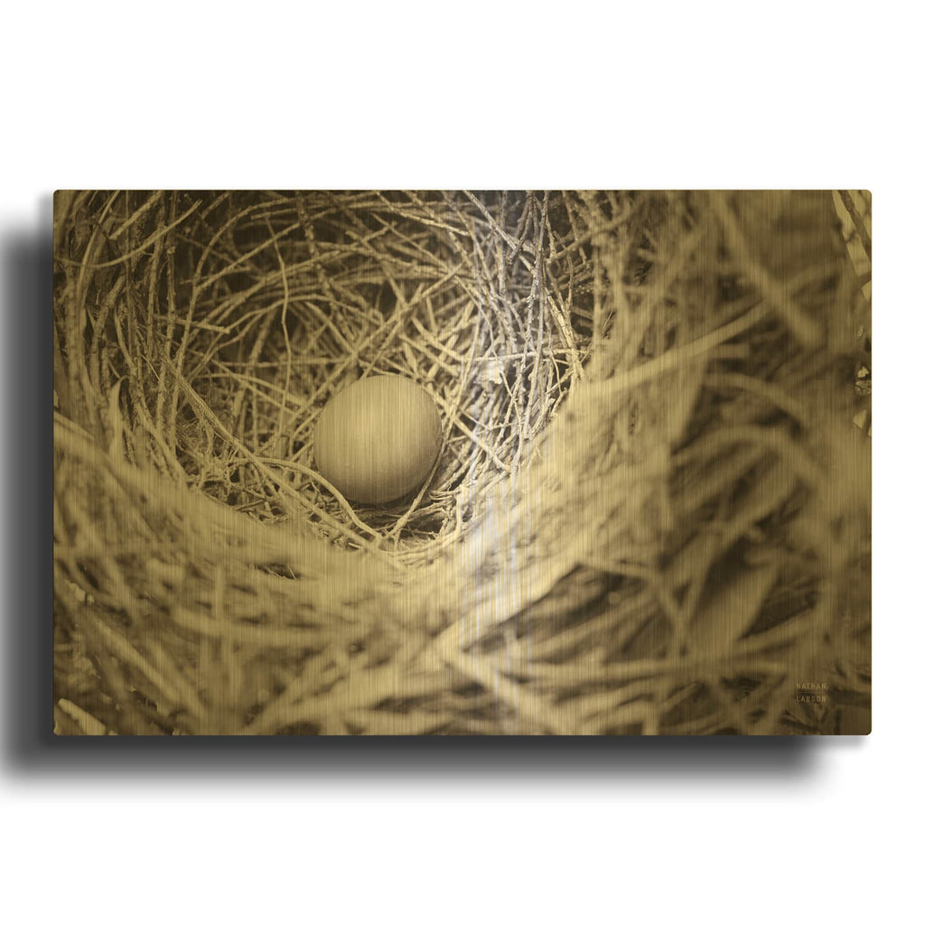 'Nesting' By Nathan Larson Gold Metal Wall Art