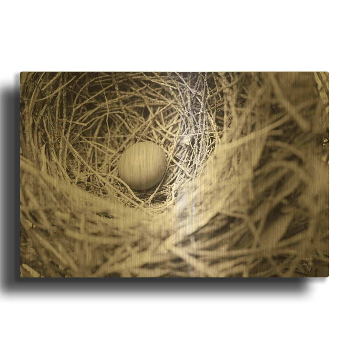 'Nesting' By Nathan Larson Gold Metal Wall Art