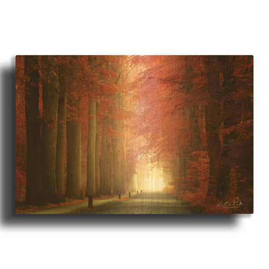 'Way to Red' By Martin Podt Gold Metal Wall Art