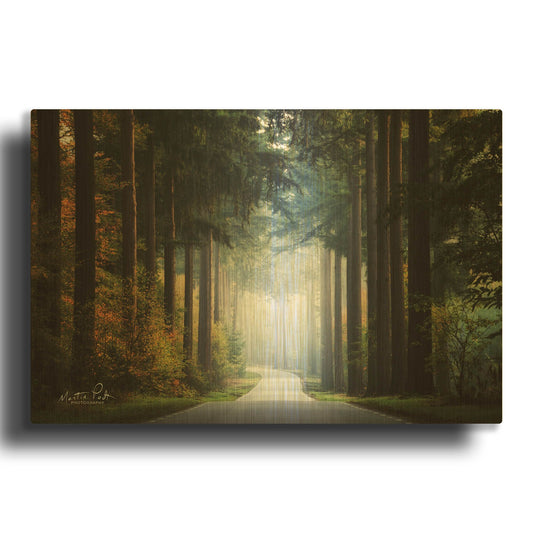 'Mysterious Roads' By Martin Podt Gold Metal Wall Art