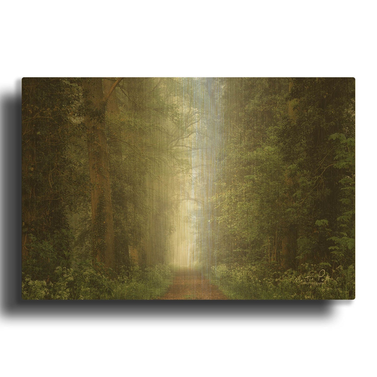 'Misty Spring Road' By Martin Podt Gold Metal Wall Art