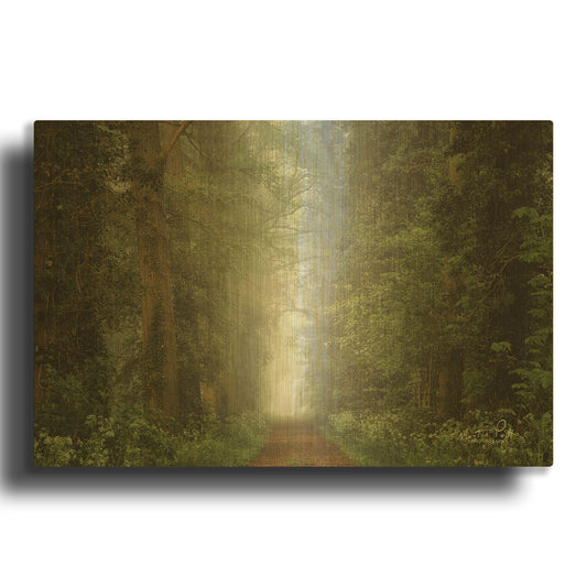 'Misty Spring Road' By Martin Podt Gold Metal Wall Art