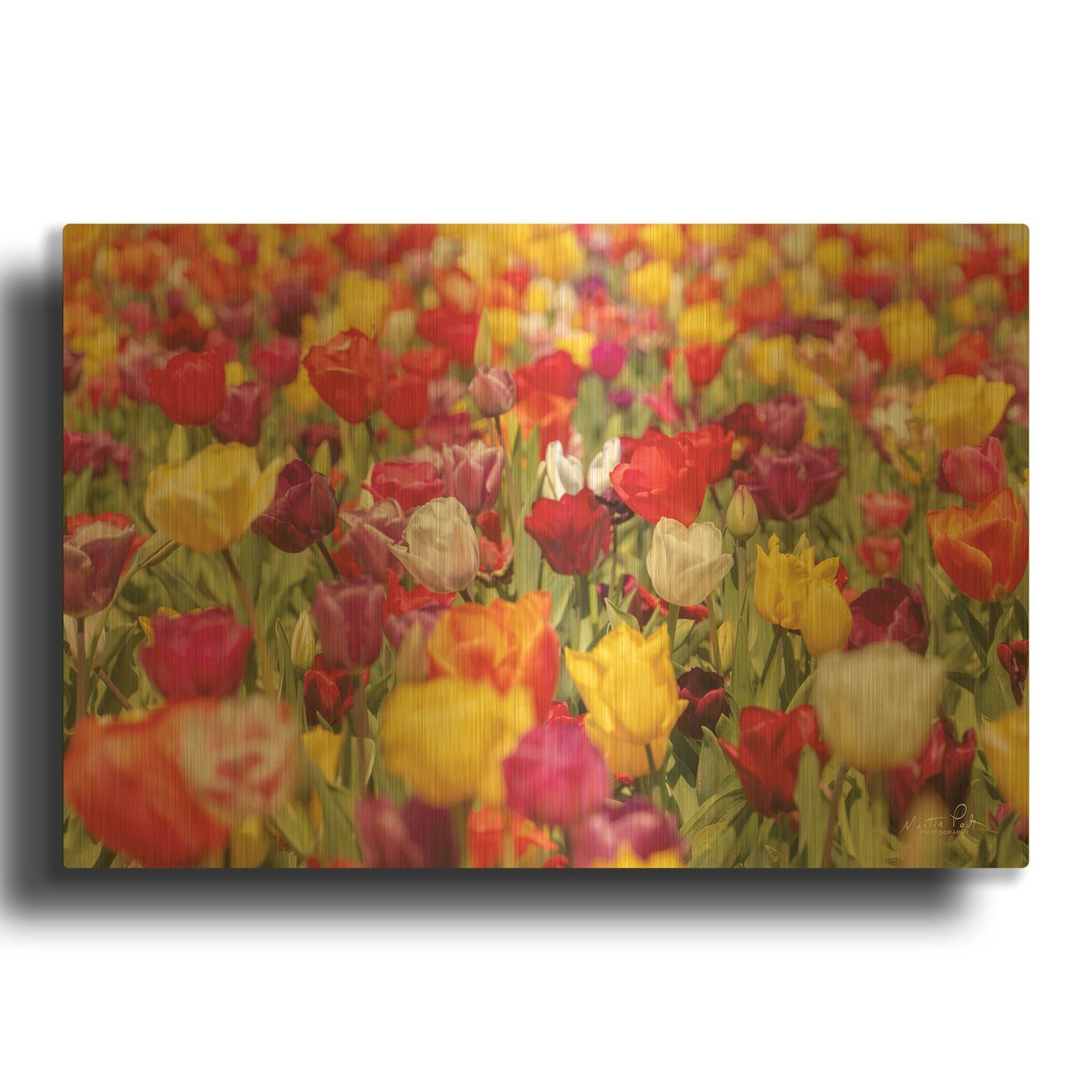 'Colorful Bouquet' By Martin Podt Gold Metal Wall Art