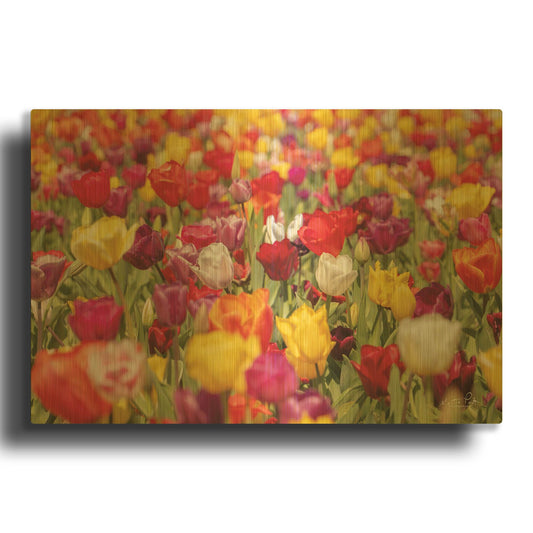 'Colorful Bouquet' By Martin Podt Gold Metal Wall Art