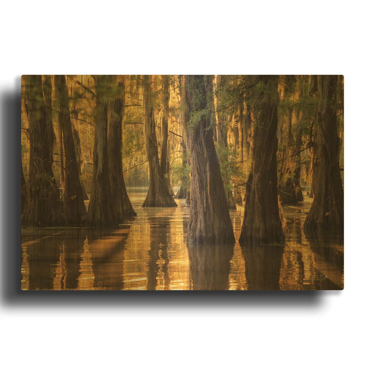 'Natural Beauty' By Martin Podt Gold Metal Wall Art